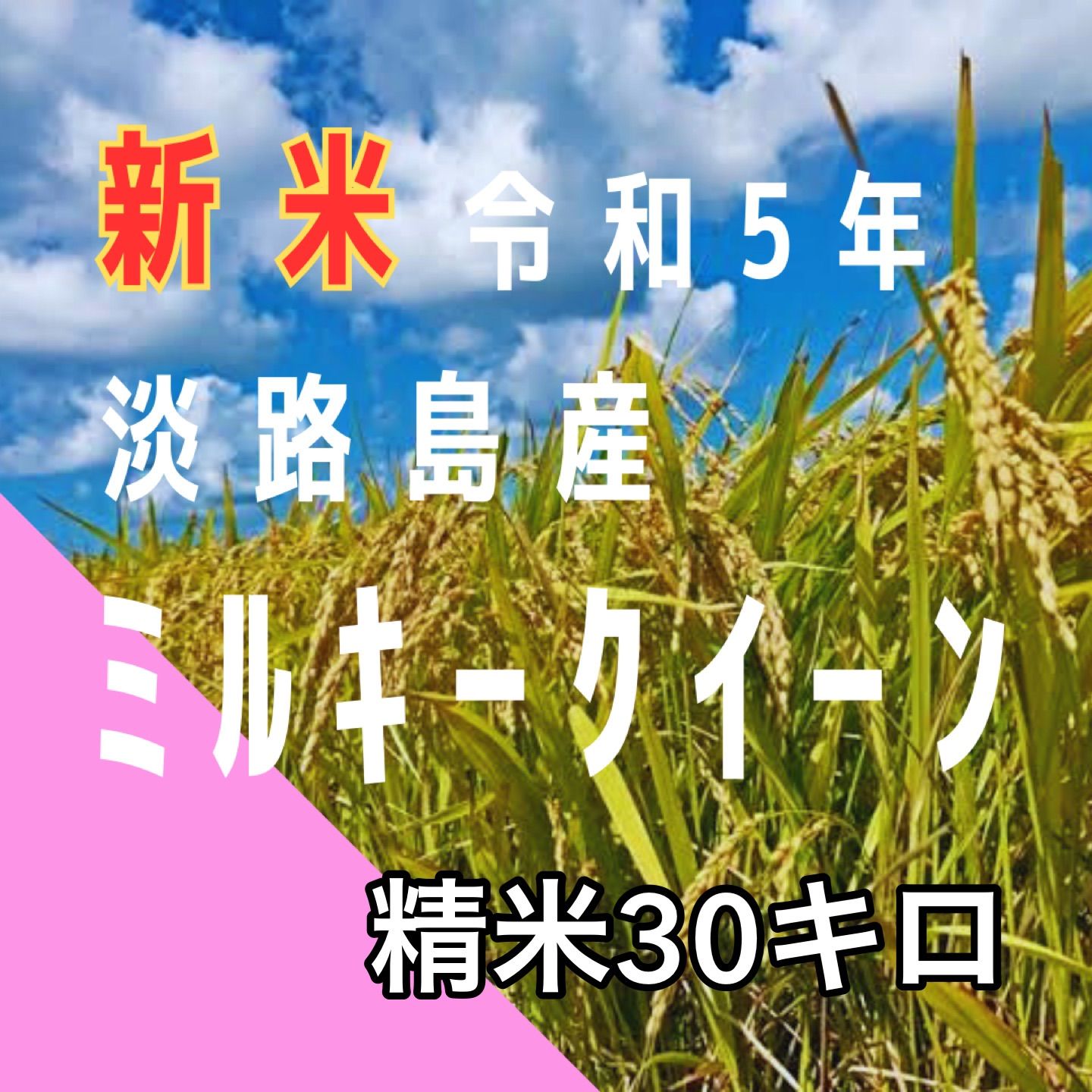 新米 令和5年 産 ミルキークイーン 玄米30キロ 淡路島 小分け可 30kg