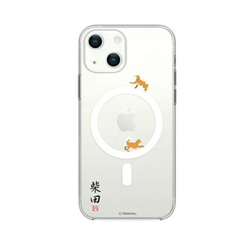 ハンガリー産 メリジオナリスゾウの臼歯化石