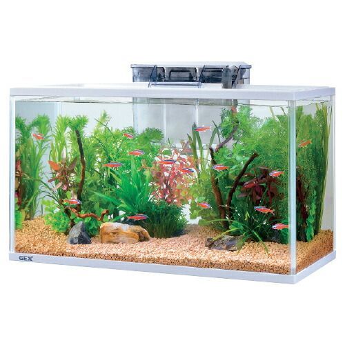 スリムアクアセット５００1744161 ジェックス