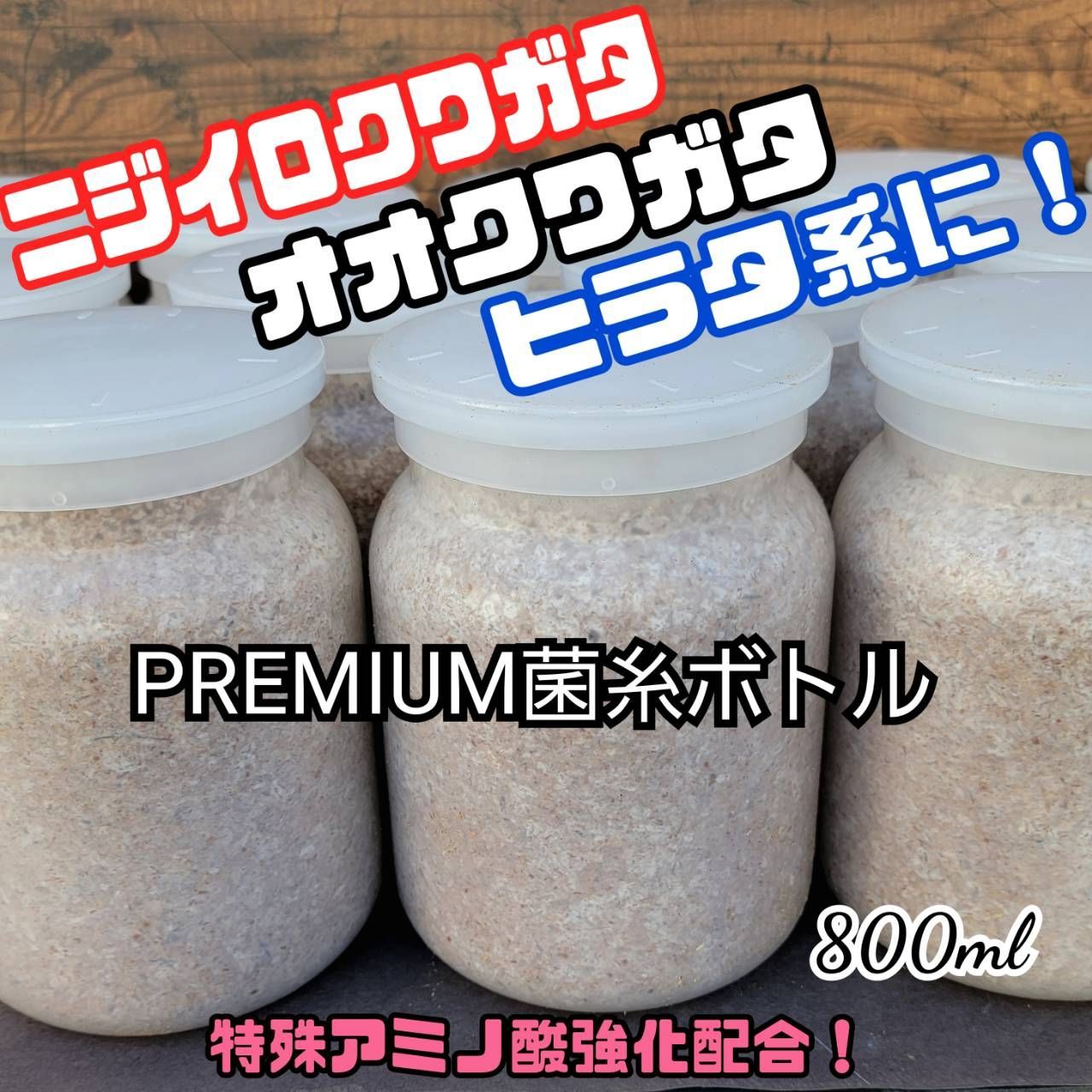 極上！プレミアム菌糸瓶 800ml【6本セット】ニジイロクワガタにお薦め 