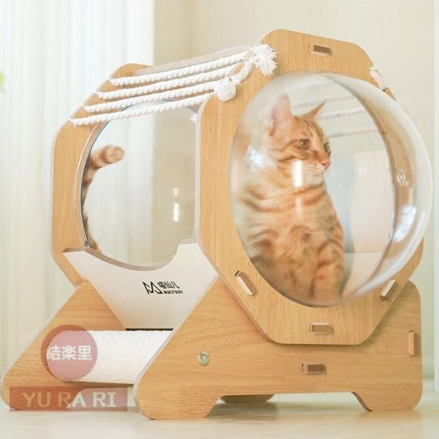 猫ベッド
