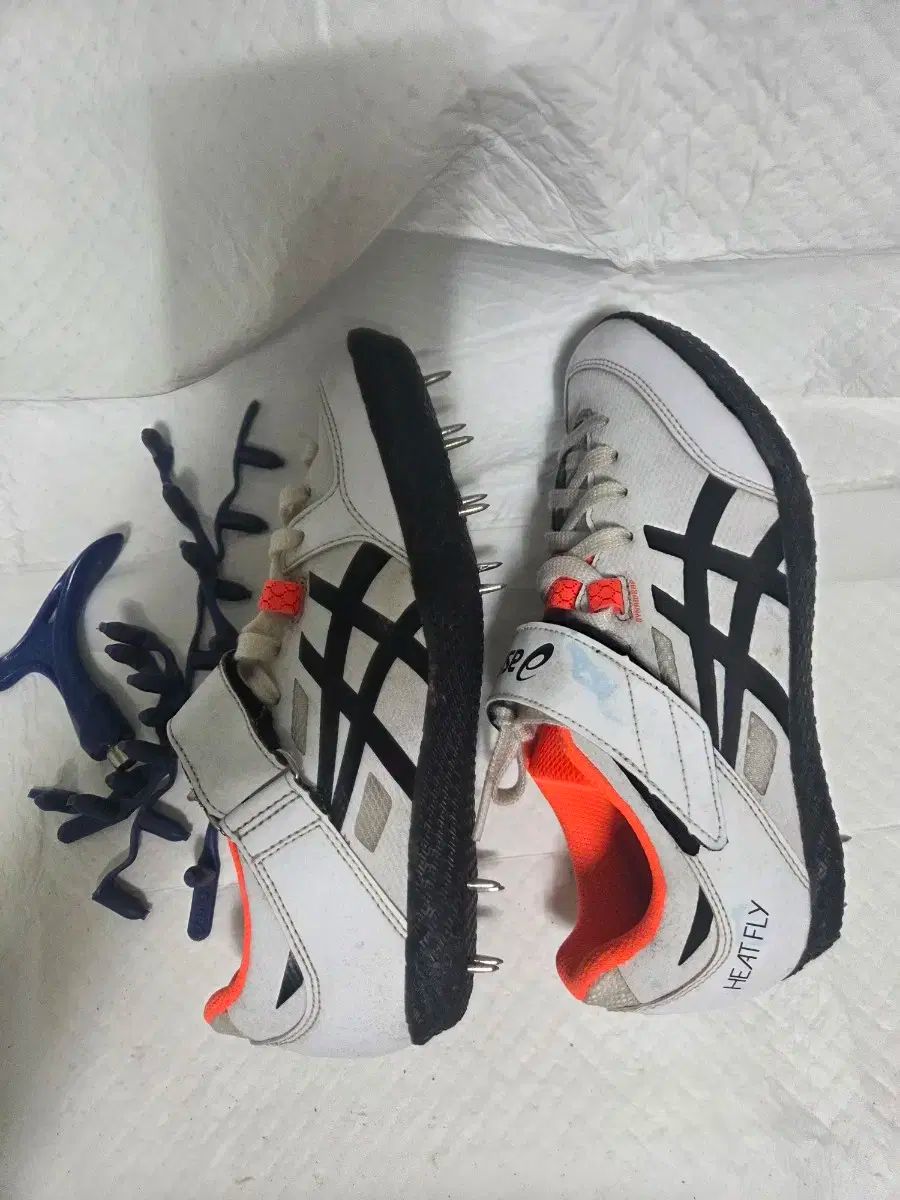 槍投げ マルチスパイクシューズ