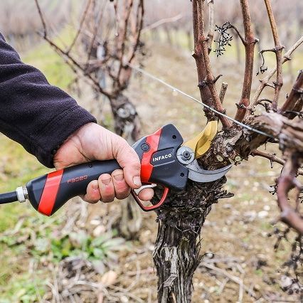 造園 フランス製