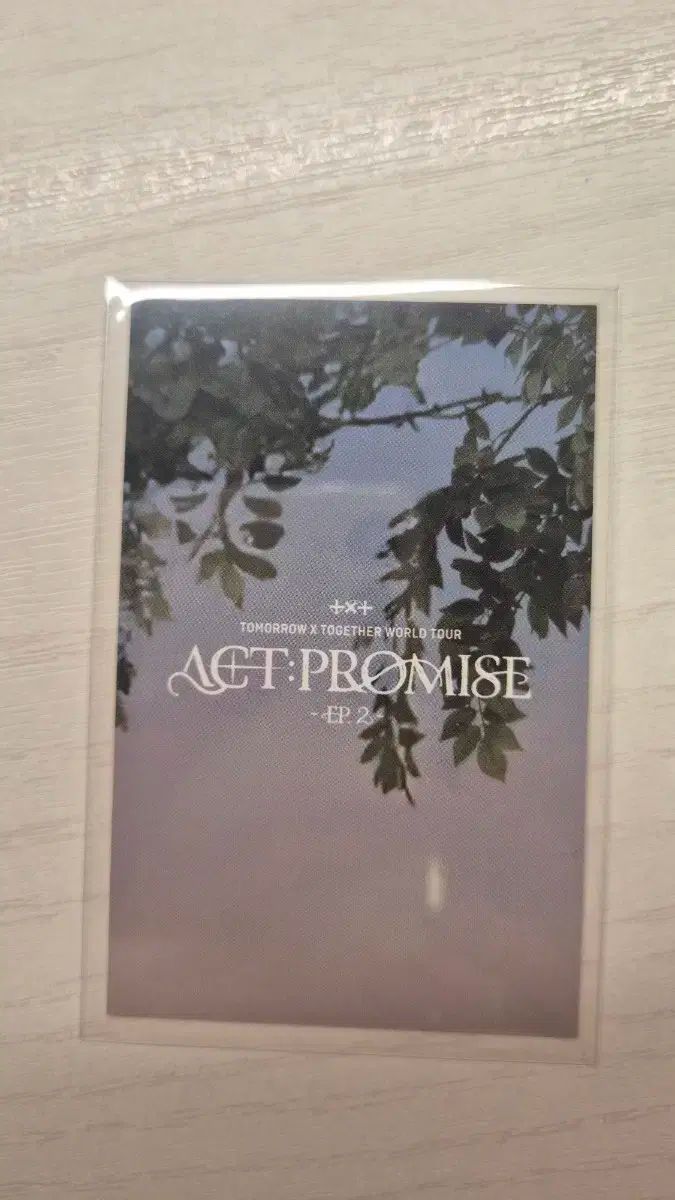 MOA ZONE モアゾーン スビン(CHOI SUBIN・チェスビン) TOMORROW X