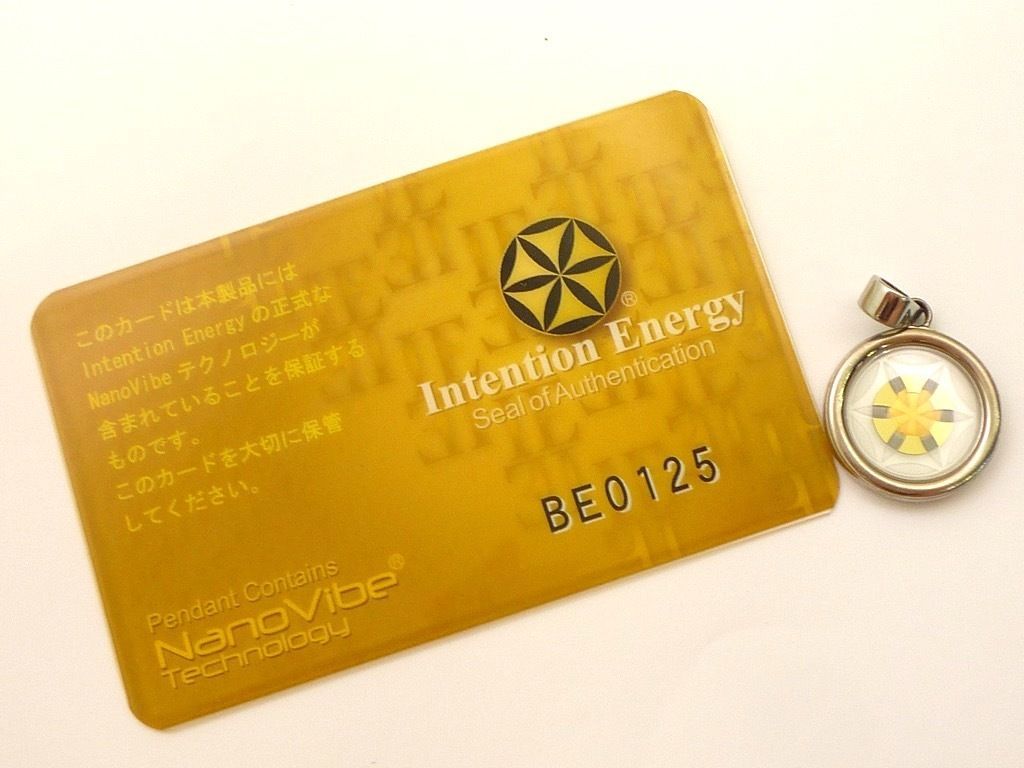 参考49500円 Intention Energy インテンションエナジー ナノバイブ