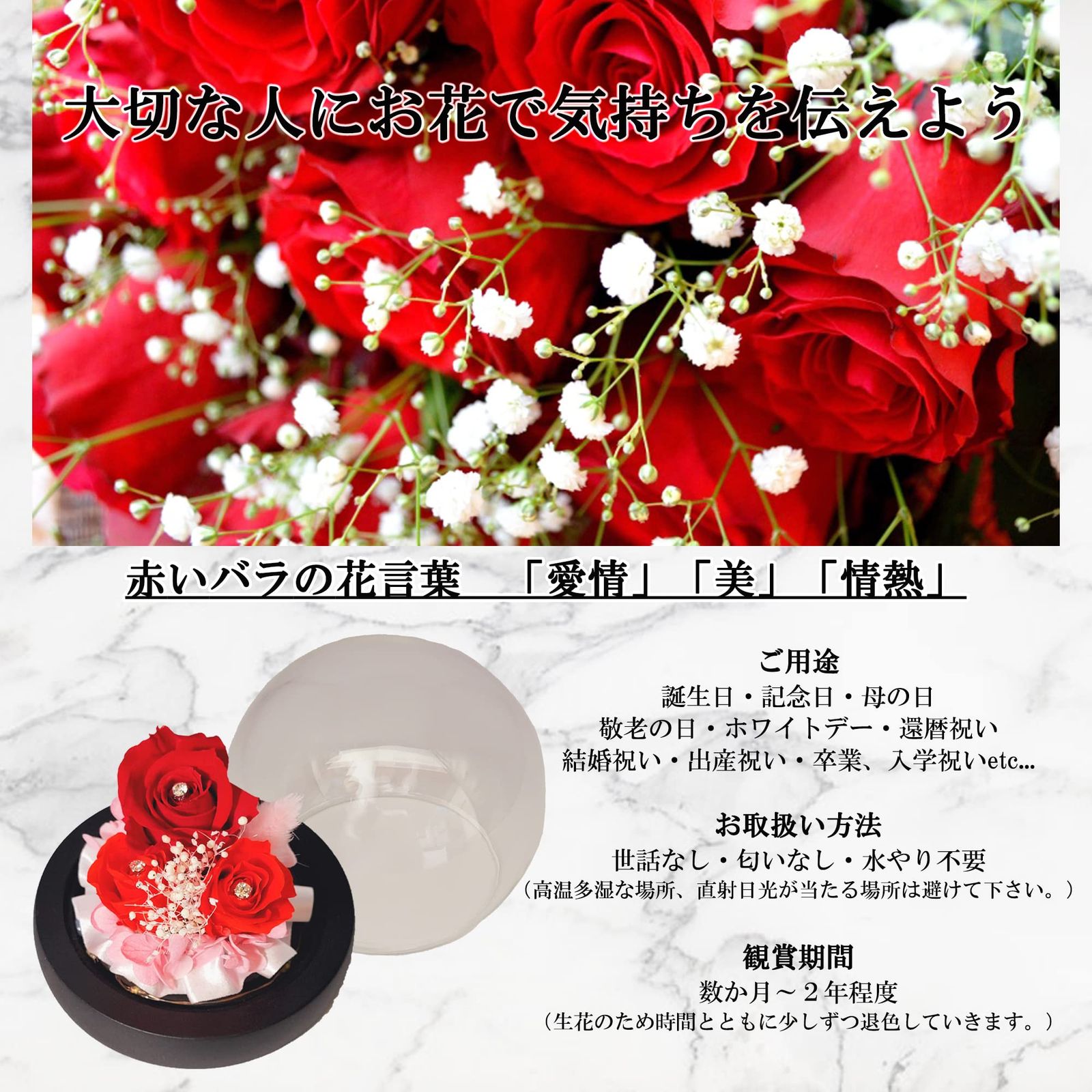 パンパスグラス 今期採れたて 2025.8.30 パンパスグラス| 種・苗