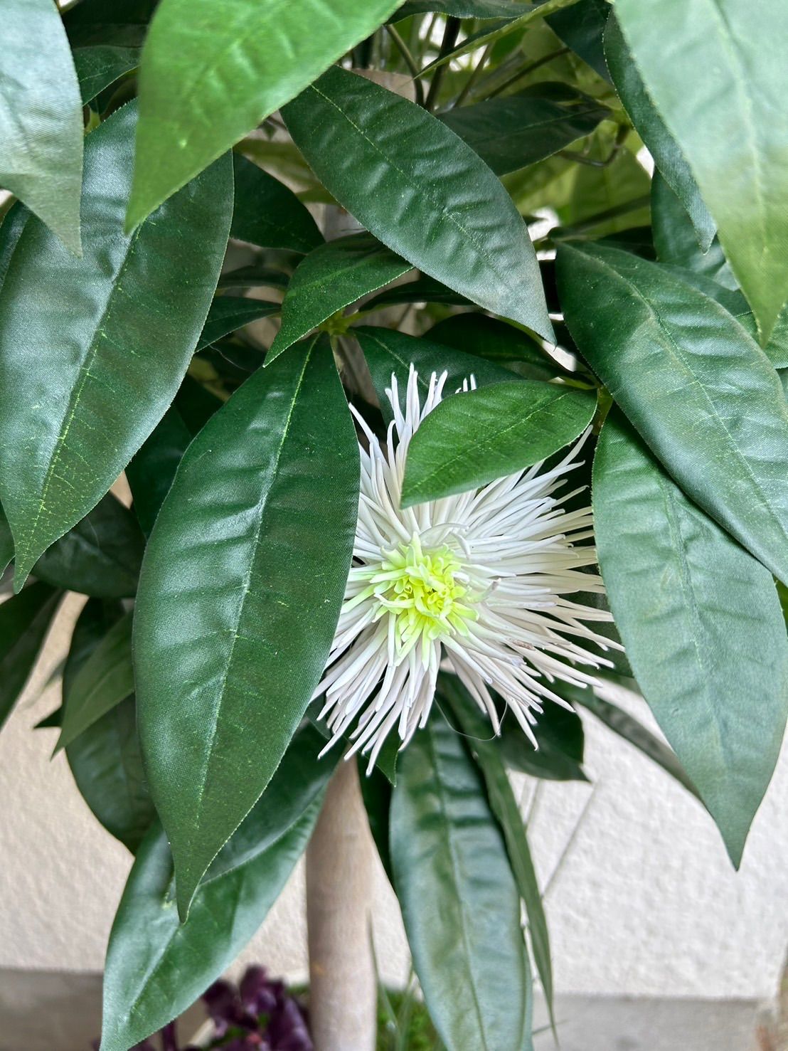 人工観葉・フェイクグリーン 光触媒 人工観葉植物 ウォールグリーン