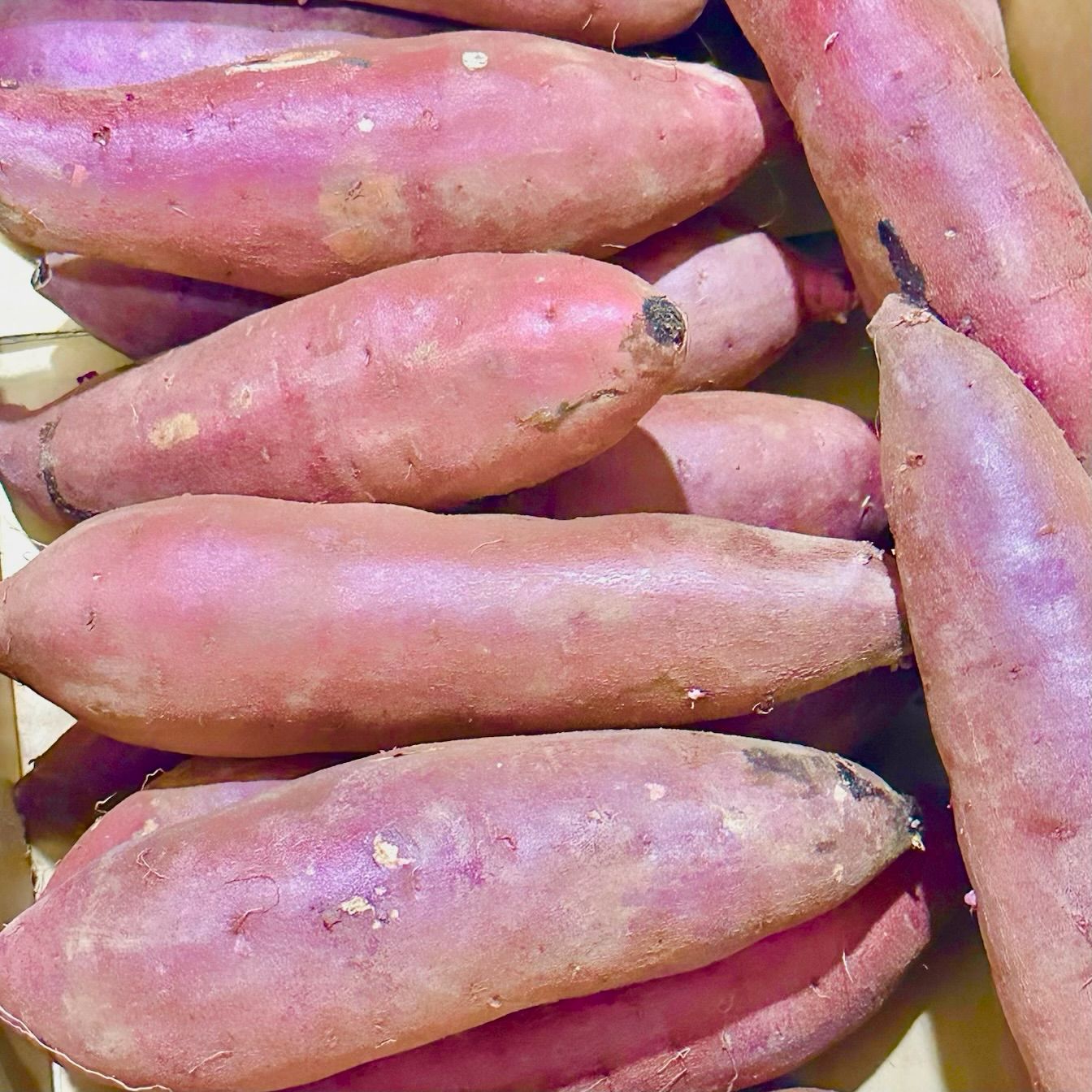 干し芋 輪切り 365日超熟成 べにはるか 300g 数量限定 茨城県産