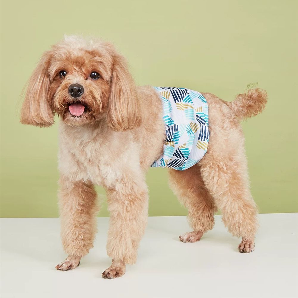 [新柄6種の2点セット]  犬 ドッグ マナーベルト 犬用 マナーバンド マナーパンツ マナーウェア オス 男の子 小型犬 介護用 しつけ #MG03 Qpet