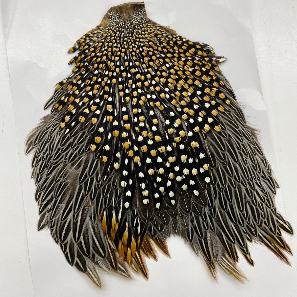 ジャングルコック　フライマテリアル Jungle Cock 公式 ジャングルコック フライマテリアル