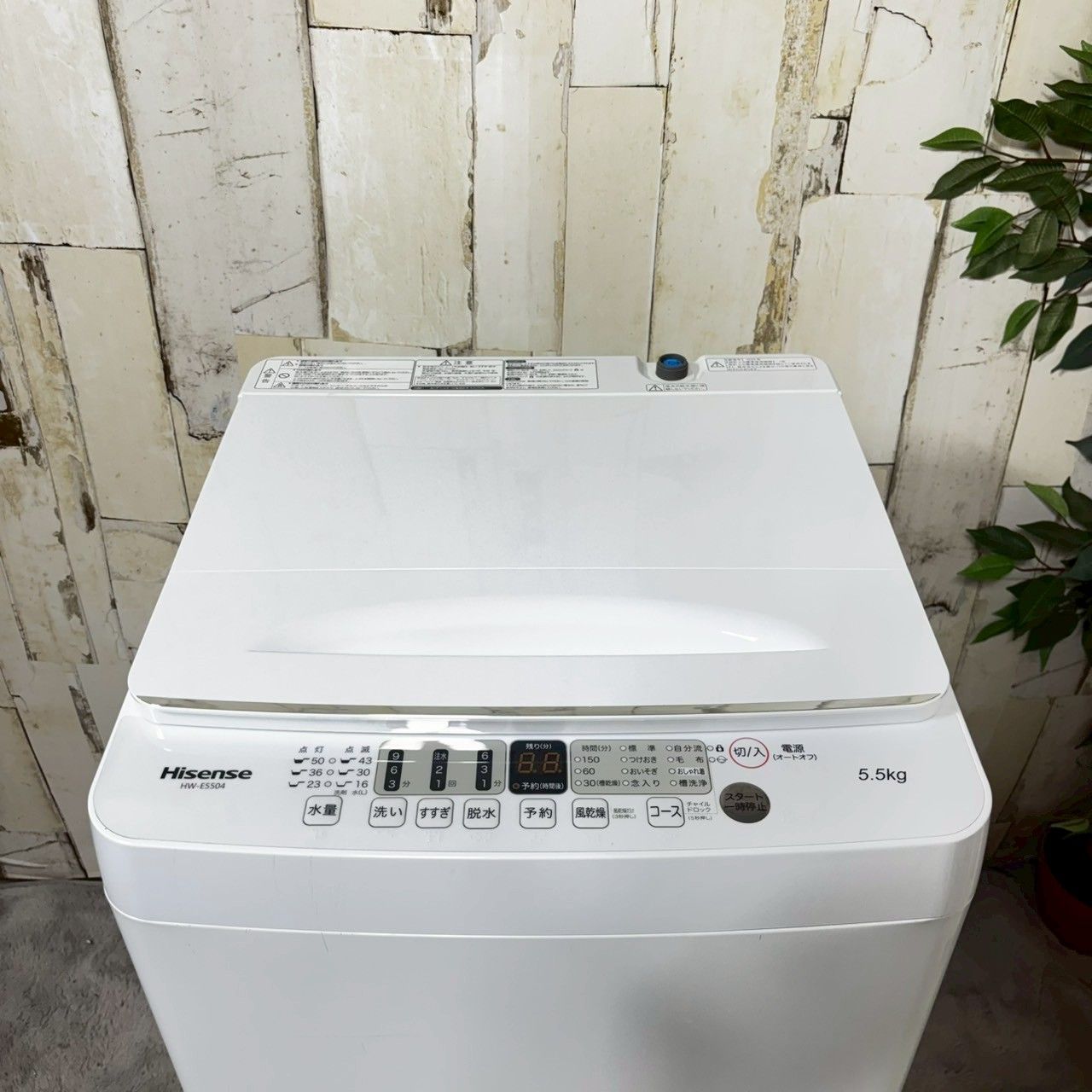 2022年製】 Hisense ハイセンス HW-E5504 洗濯機 5.5kg 【公式通販】