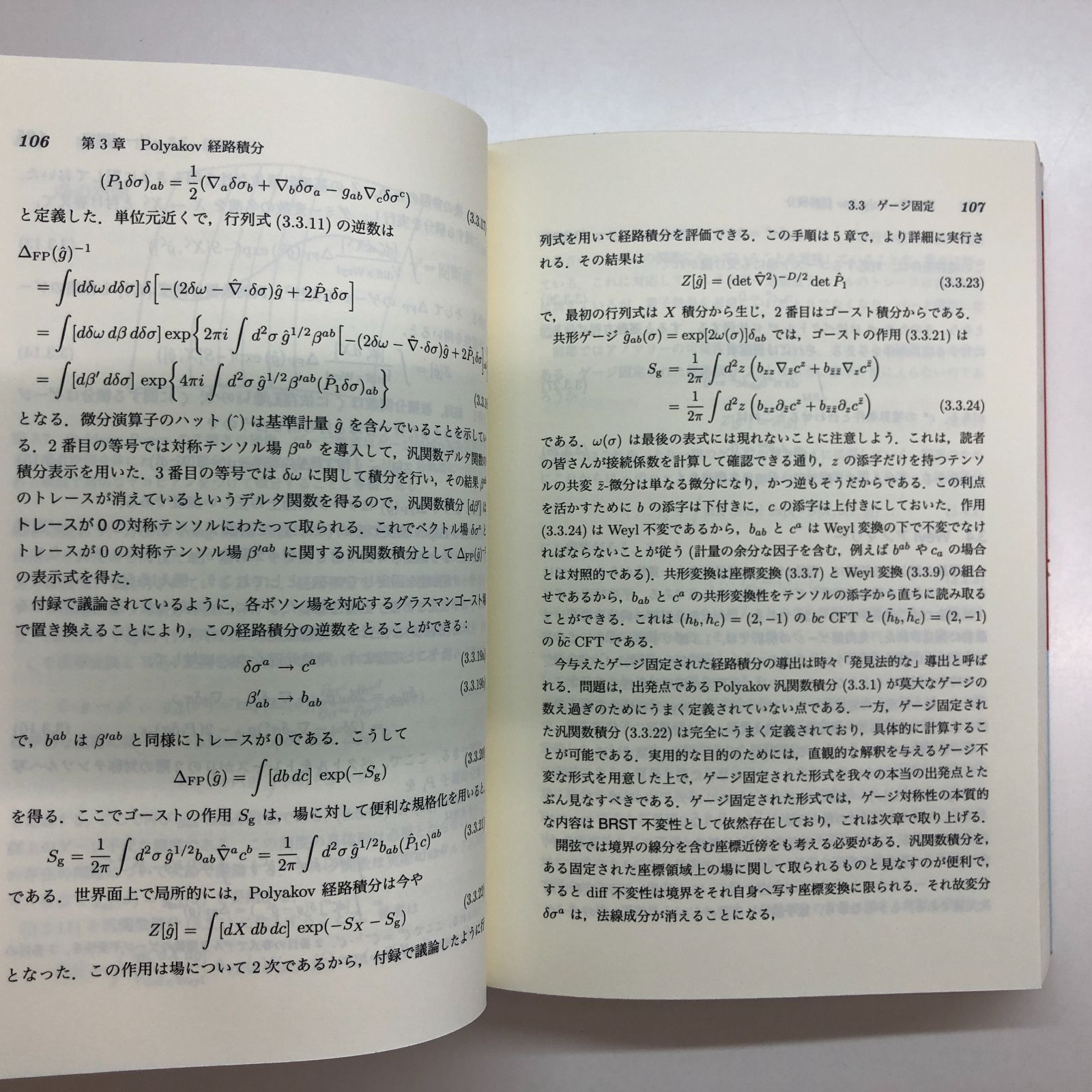 W-1-4621062379]ストリング理論 第1巻 (World Physics Selection