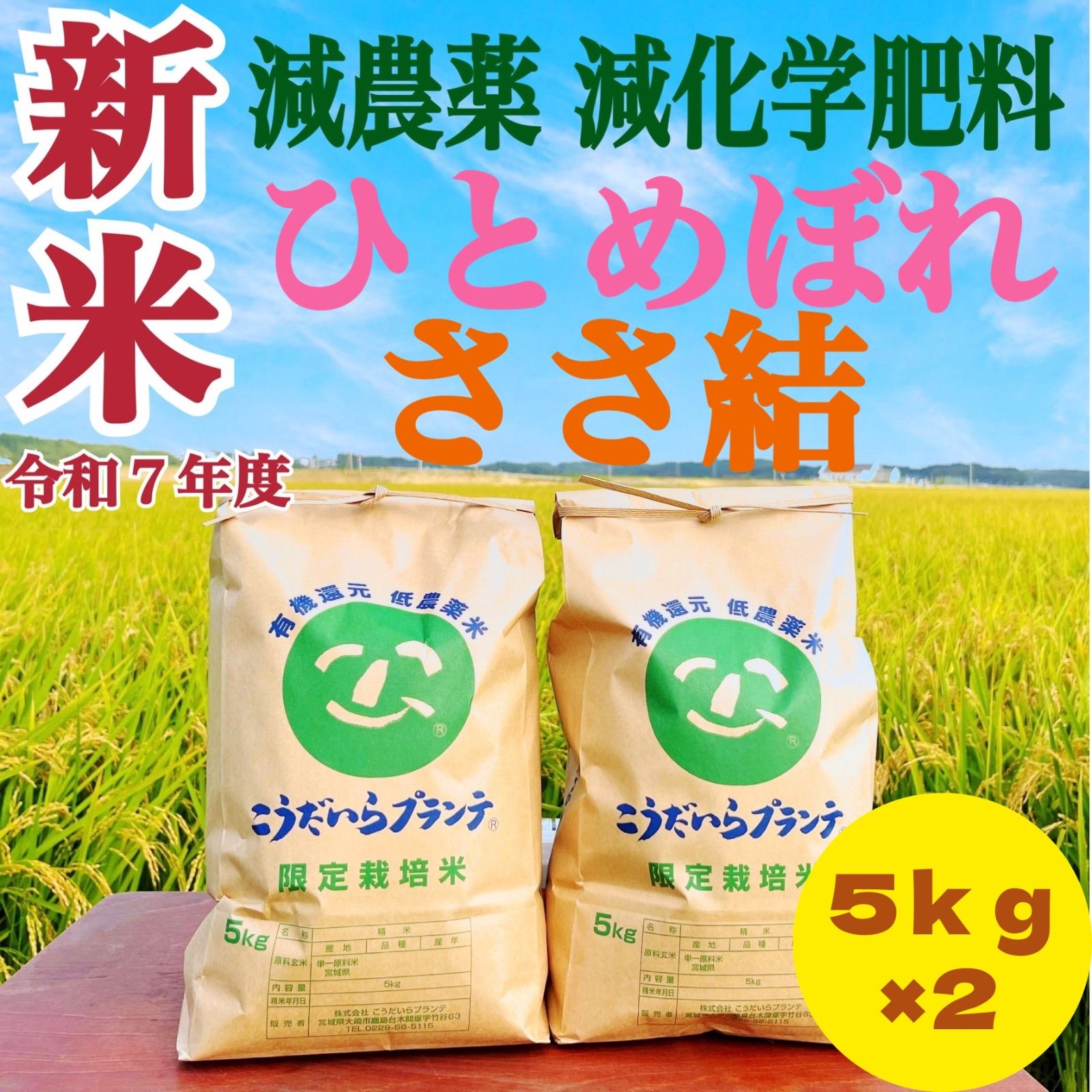 新米 令和７年度 農家直送 減農薬 ひとめぼれ＆ささ結５ｋｇずつの食べ比べセット