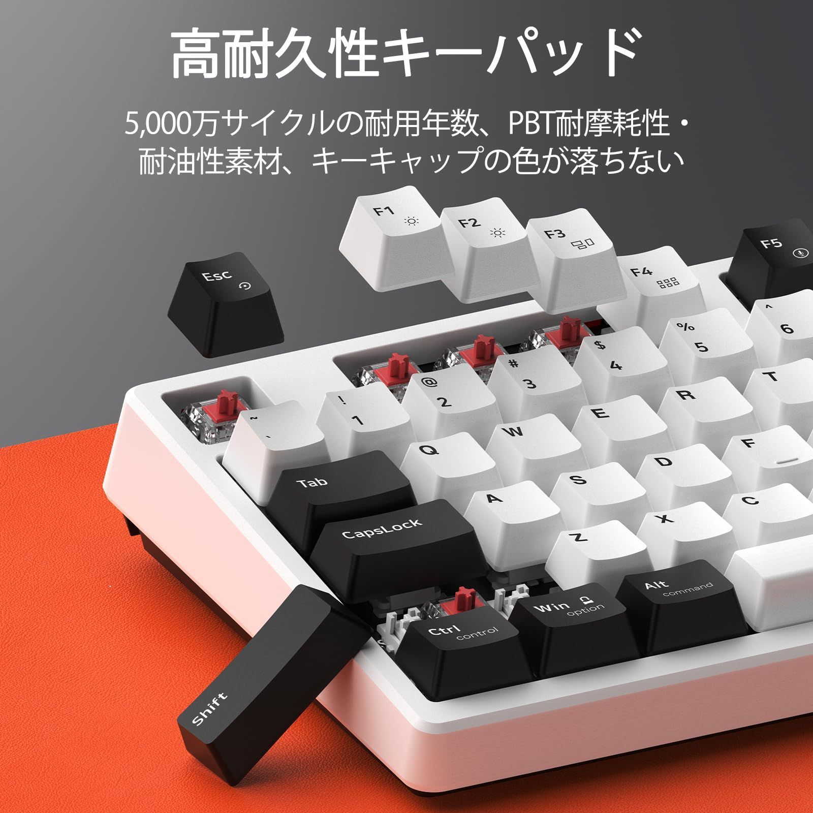 白 RGB
