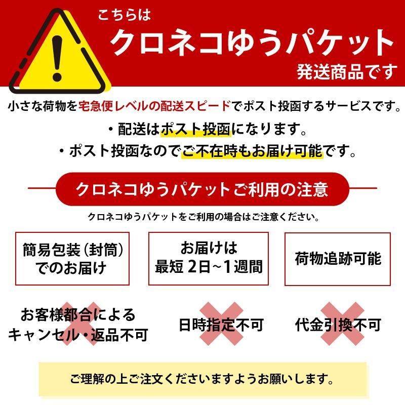 10個セット 片引き アジャスター フリップ式で後付け簡単 リュックカン リュック 紐 留め具 紐 長さ調整 金具 リュック ベルトを固定する ストラップの緩みを固定 - メルカリ
