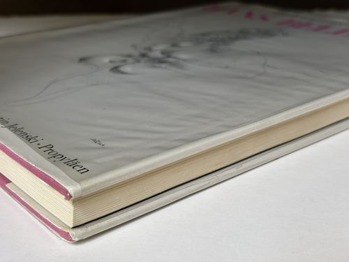 ハンス・ベルメール ドローイング作品集(Die Zeichnungen von