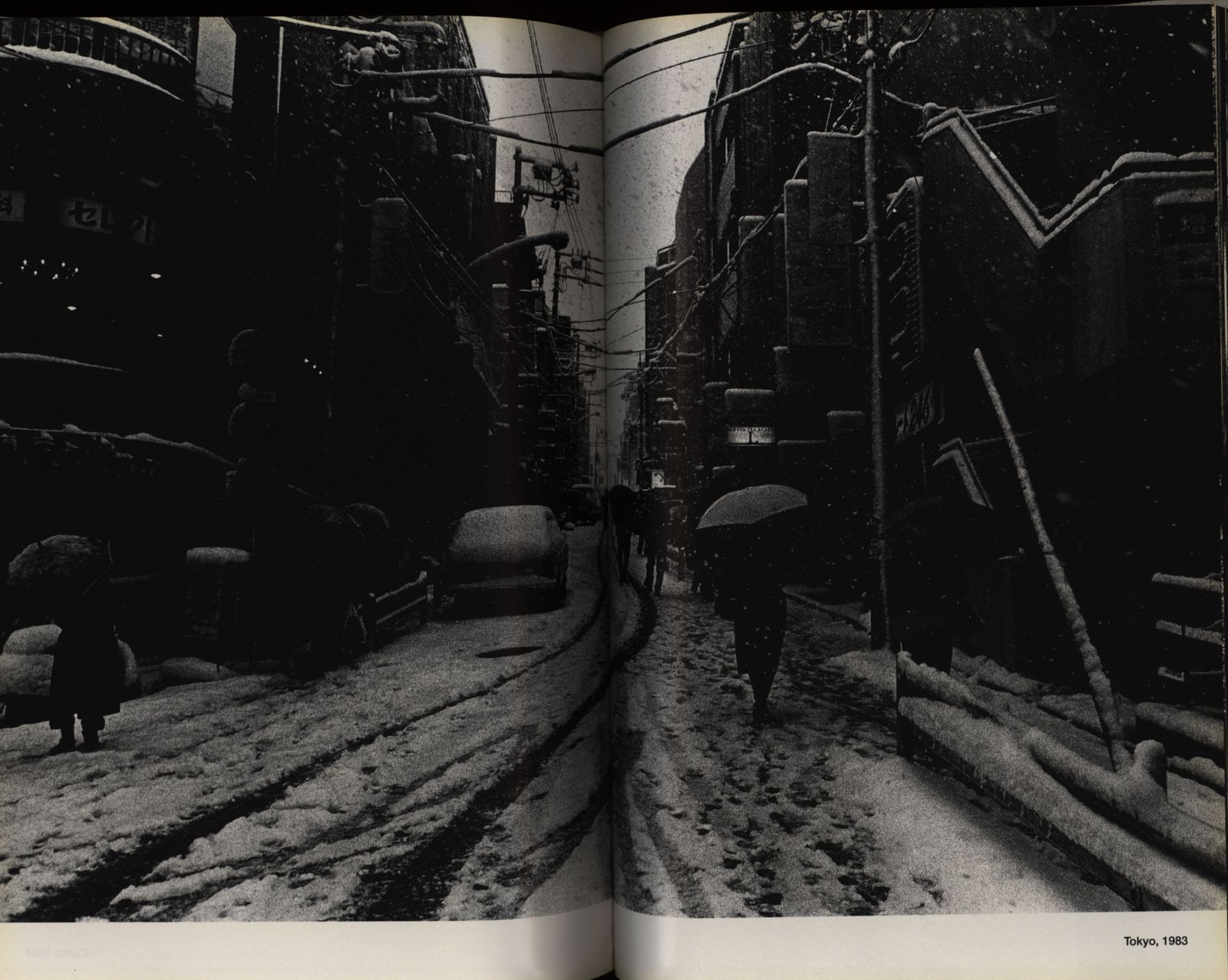 森山大道 犬の時間