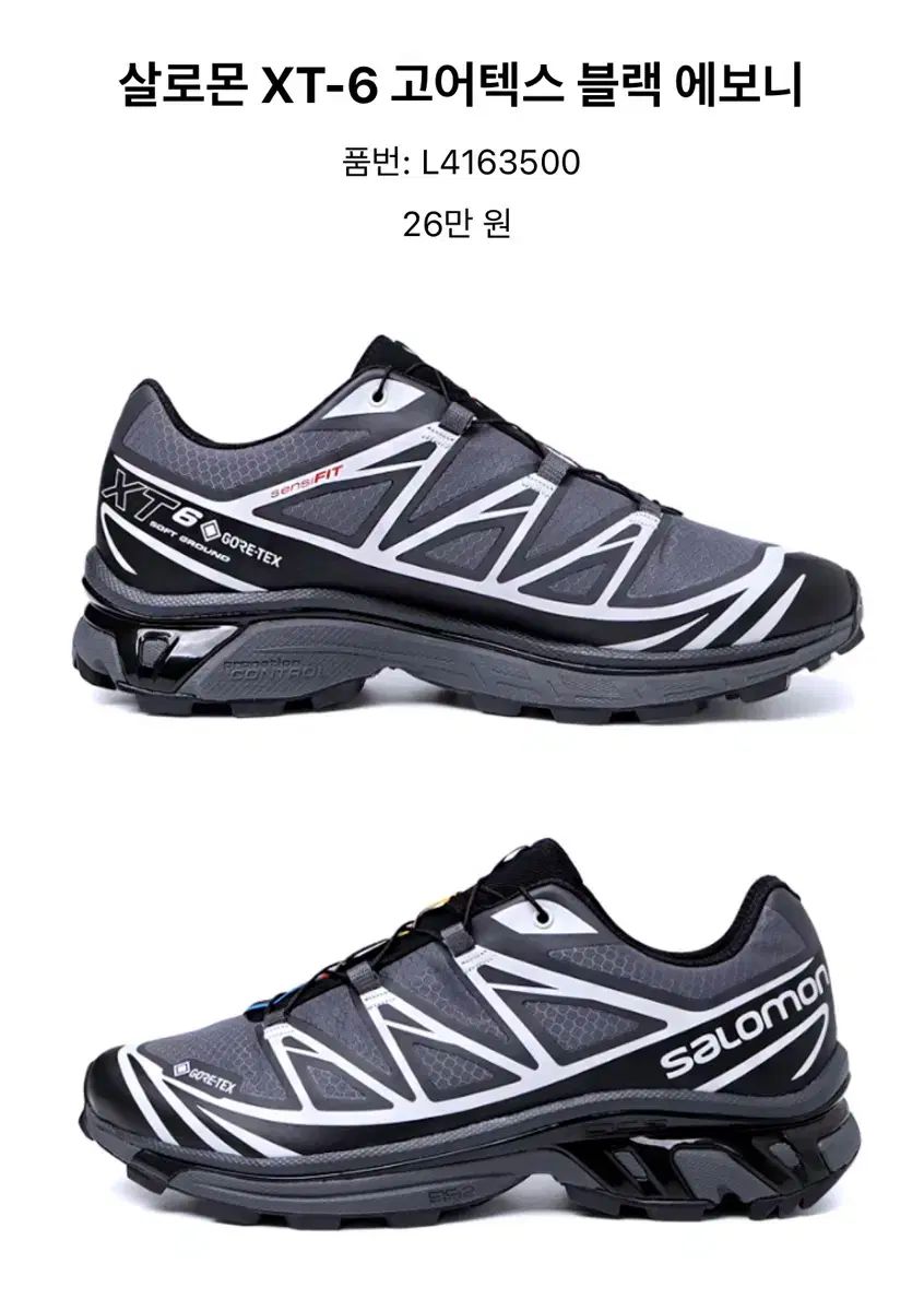SALOMON サロモン XT ー 6 GORE-TEX ゴアテックス 黒 エボニー
