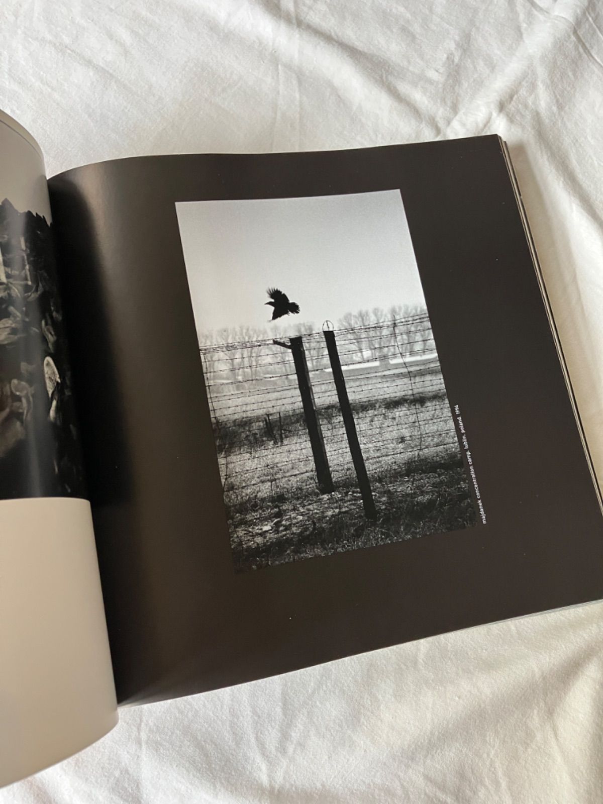 マグナム magnum° magnum degrees 写真集 マグナム 写真集 Magnum Degrees magnum° アートブック magnum° magnum