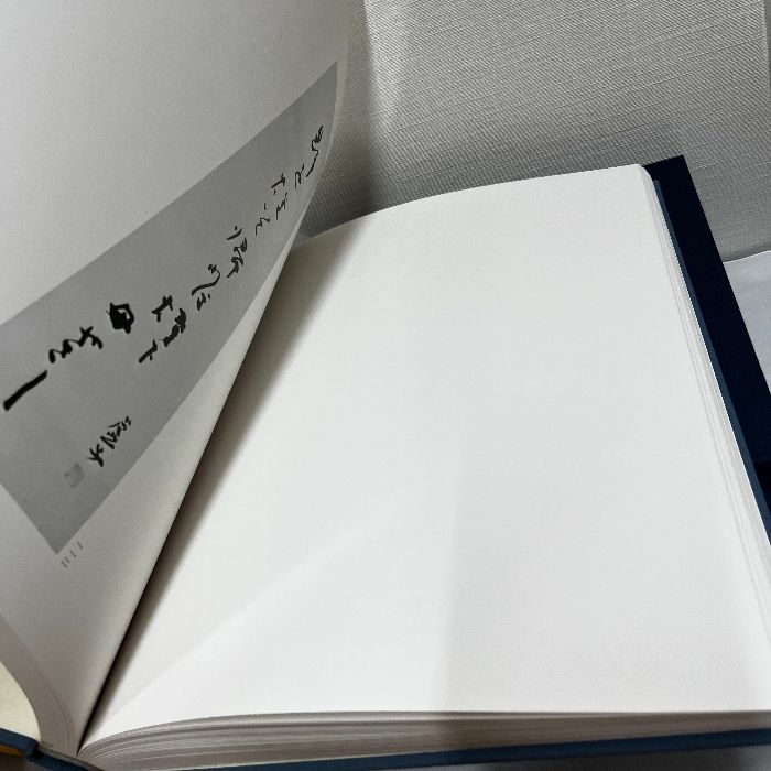 高濱虚子遺墨集 2冊組 別冊解説 求龍堂 限定1000部 松井利彦