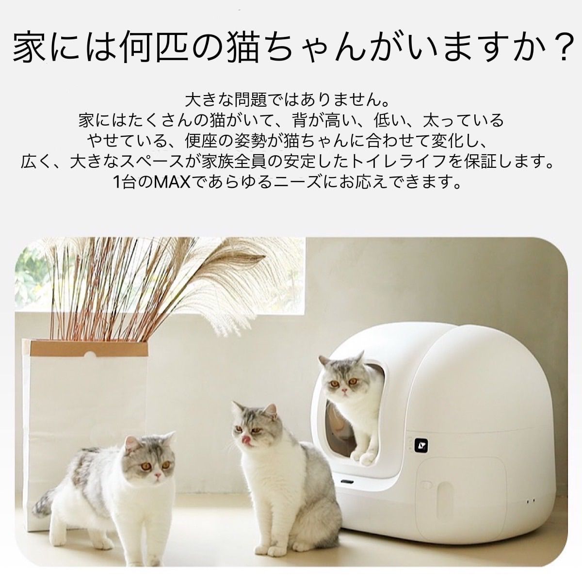 PETKIT PURA MAX 全自動猫トイレ