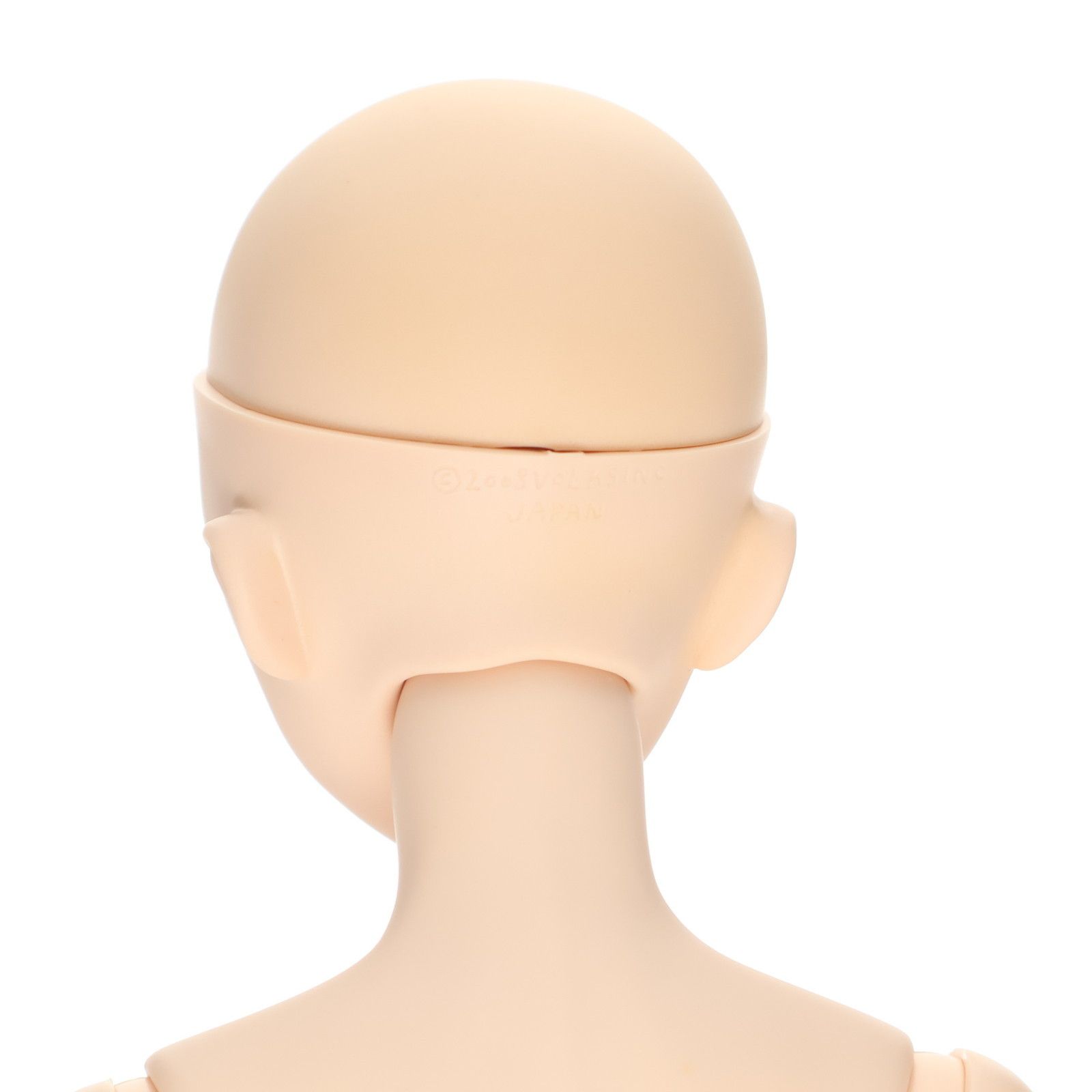 ドルフィードリーム DD