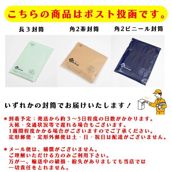 【２個セット】耳かき 匠の技 耳かき 竹 天然煤竹耳かき【G-2153】GREEN　BELL　匠の技　匠　すすたけ　最高級　天然煤竹　耳かき（2本組み）最高級煤竹　極細　定形郵便　送料無料