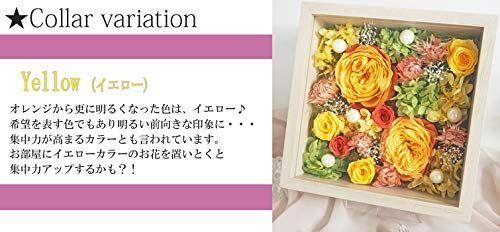 45 プリザーブドフラワー ドライフラワー まとめ売り アジサイ 大地