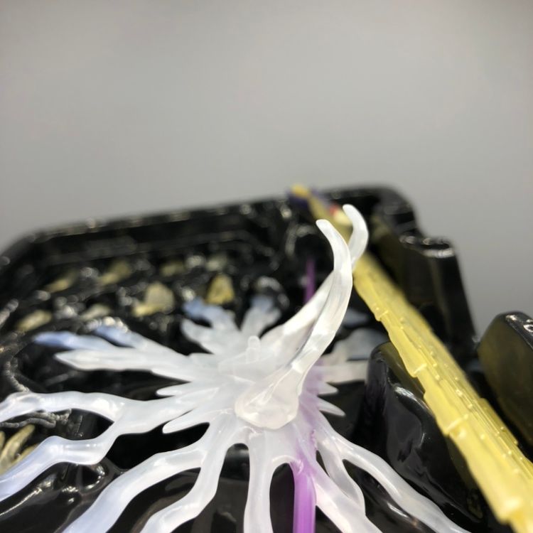 白化有り