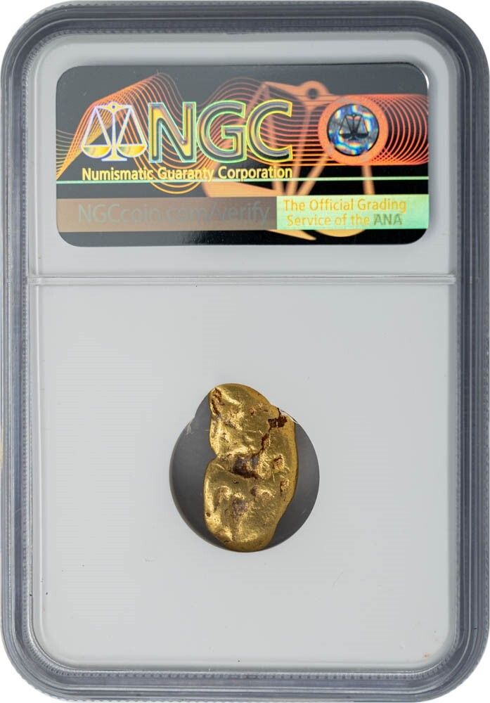 Guinea Gold Nugget 7.7g, .240 Oz NGC 950115-8 - メルカリ