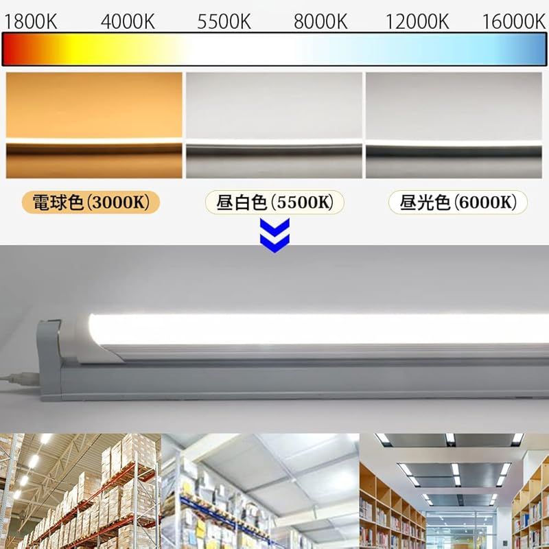 ラピッド式 40型