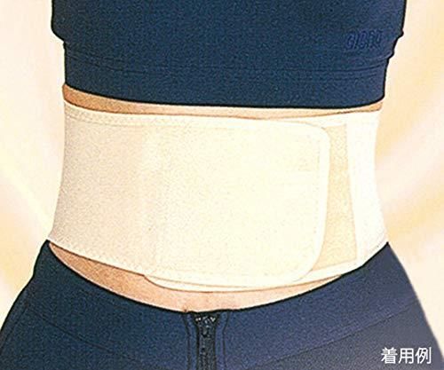 2営業日で発送 ナックバン 磁気腰サポーター L