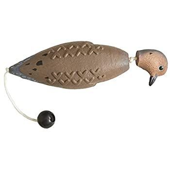 Avery スポーツドッグ EZ バードマガモトレーニングダミー 02006　並行輸入品 : Avery Sporting Dog EZ-Bird トレーニングダミー \u2013  水とフィールドトレーニング用のリアルなフローティングレトリバーバンパー(グリーンウィングティール) : ペット用品