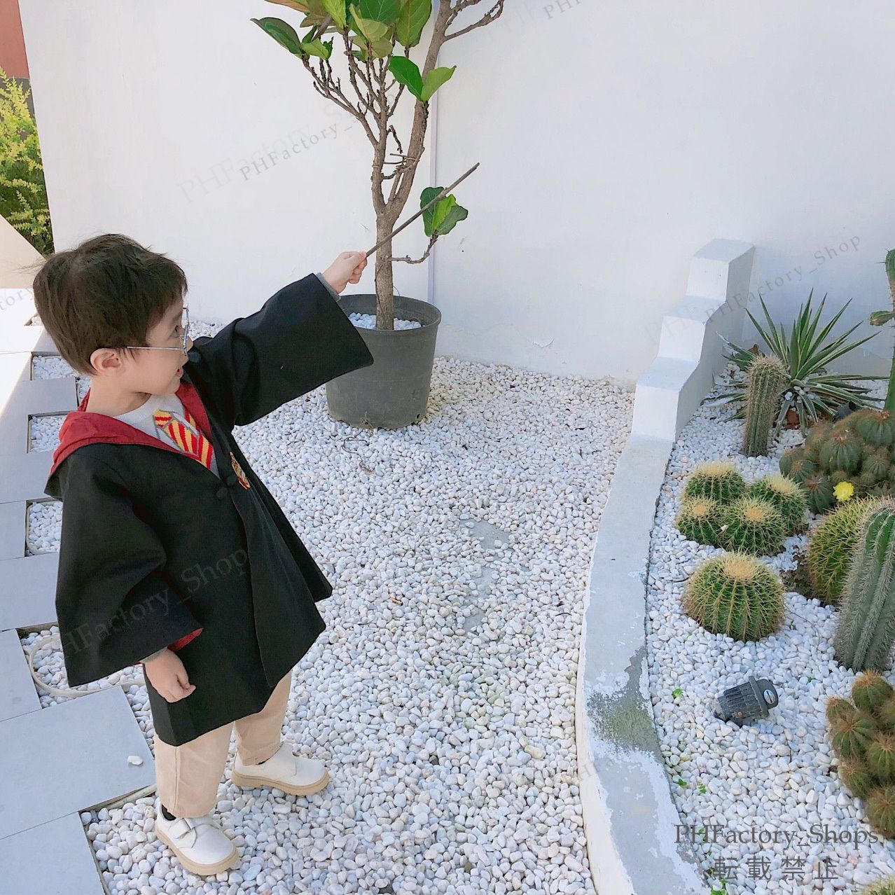 ハリーポッター グリフィンドール