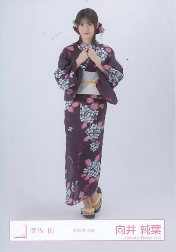 中古】生写真(乃木坂46) 櫻坂46/向井純葉/全身/櫻坂46ランダム生
