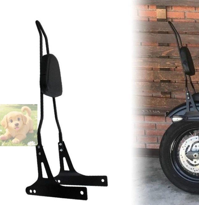 高品質 シーシーバー