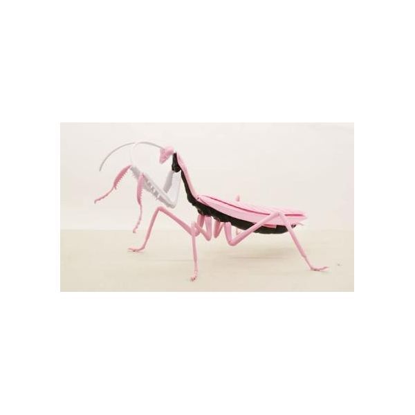 【新品・7営業日以内発送】フジミ模型 4968728171197 自由研究－232 自由研究シリーズNo.232 エヴァンゲリオン編 オオカマキリ 8号機仕様【沖縄離島販売不可】