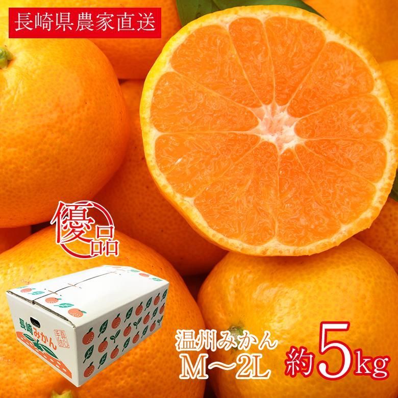 【12月初旬から順次ご発送】 送料無料 優品 家庭用 長崎県産 産地直送 農家直送 温州みかん 早生 大きさお任せ M ～ 2L 約 5kg みかん 国産 国産みかん ご家庭用 長崎県 長崎 温州早生 ご自宅用