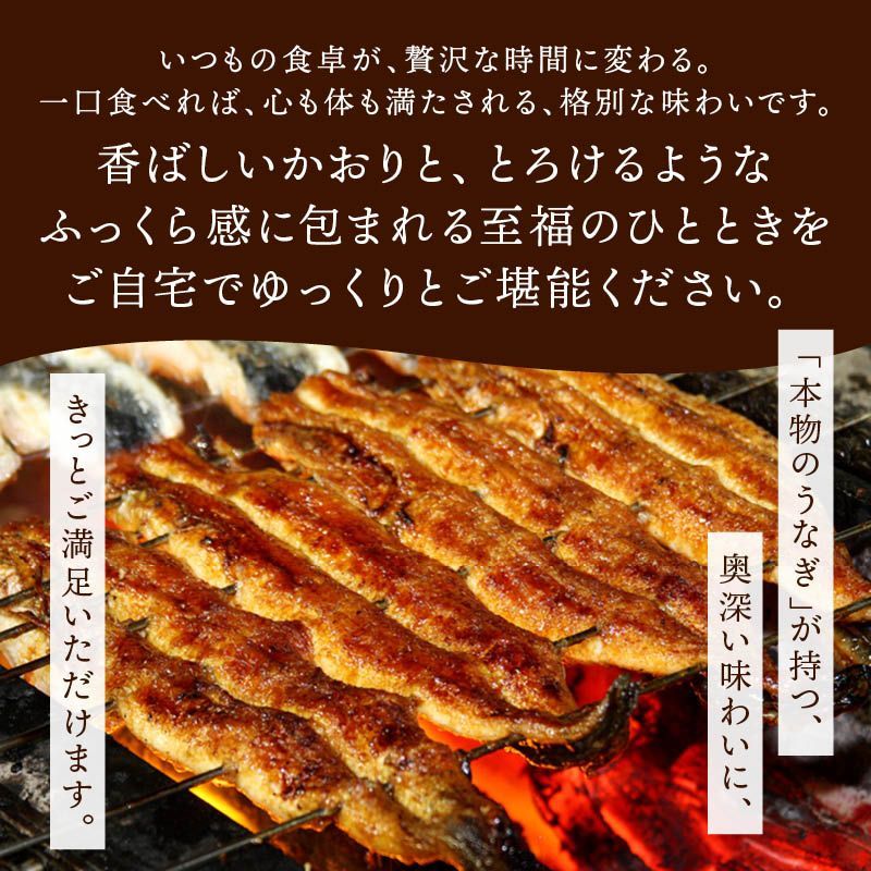 ひつまぶし 上