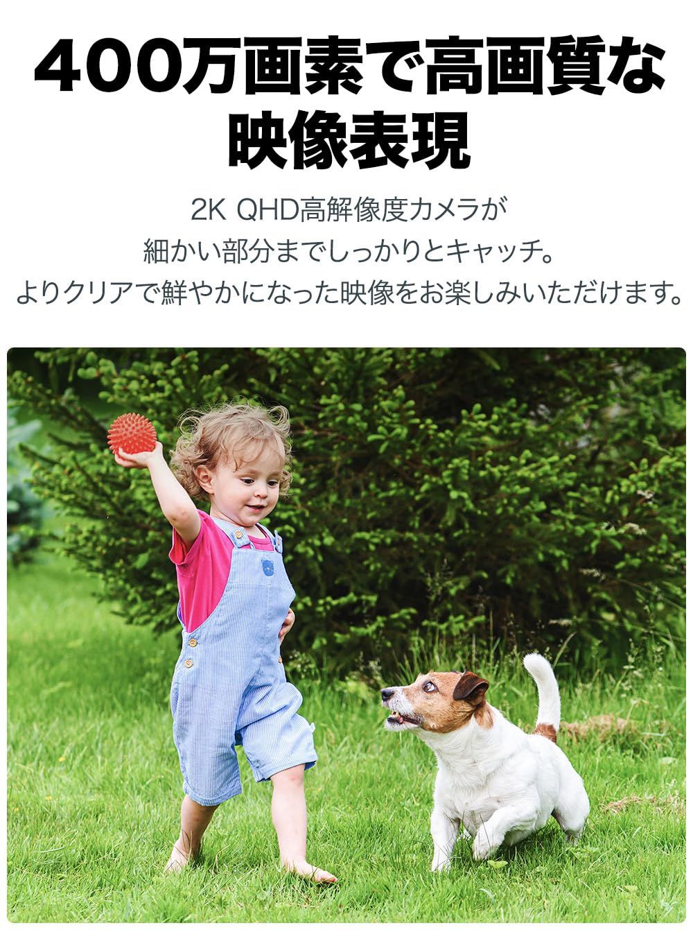 フル