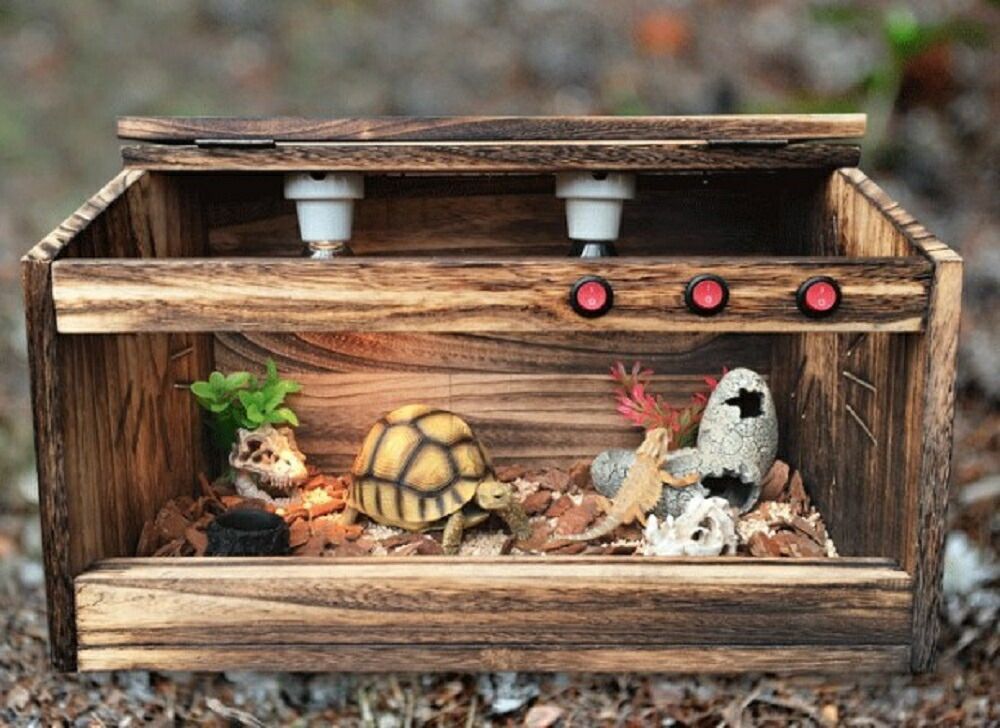 最高 KAYUSO ガラス飼育ケージ 50x30x35 cm KAYUSO ガラス飼育ケージ