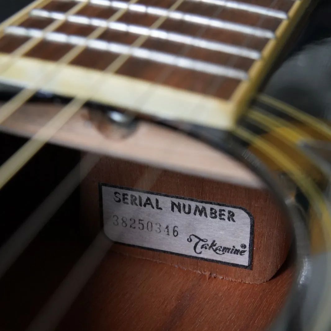 希少ブラックカラー】Takamine T-F1/BK タカミネ