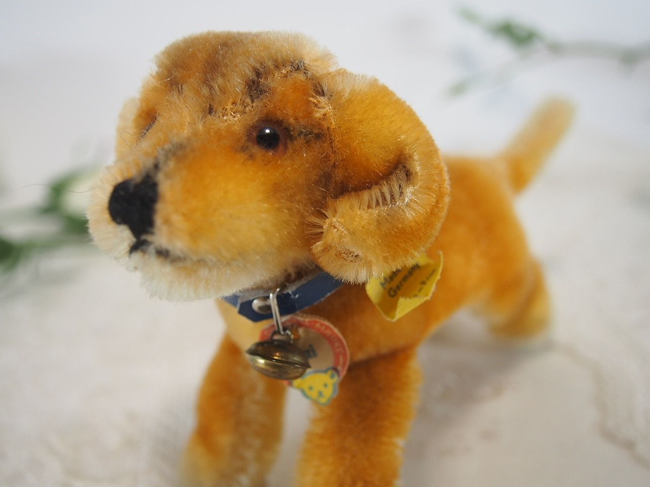 シュタイフ☆Bazi Dachshund 10cm オールIDs完品☆犬のバジー - メルカリ