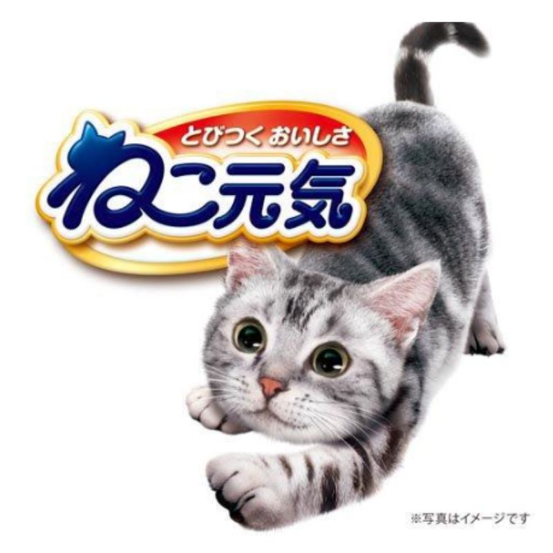 2kg