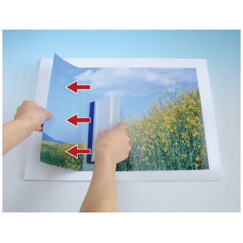 のり付きパネル Ａ１サイズ １０枚入4118-3670 カウネット