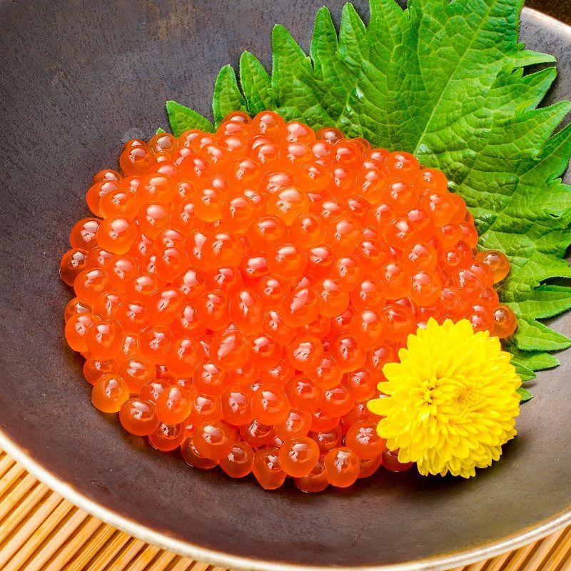 鱒子