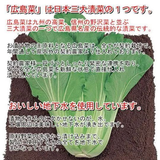 【３袋】⭐TVで紹介 ⭐有吉さん即購入!梅白菜（100ｇ×3）／🎁２セット同時購入で1袋プレゼント！／日本三大漬菜・広島菜を使用した梅酢風味のお漬物／ありがとん屋／テレビ　お弁当　おにぎり　ご当地　茶漬け　パスタ