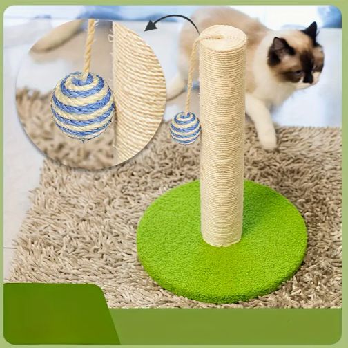 子猫から成猫まで 多頭飼い対応