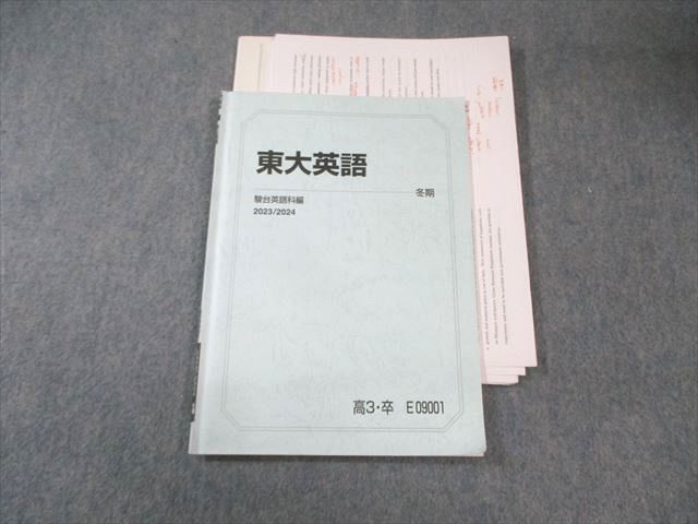 駿台 東大英語 【テスト計4回分付き】 2023 冬期 大島保彦