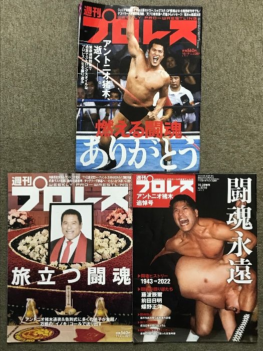 週刊プロレス 追悼号 広けれ